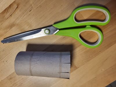 Aussaat vorbereitung